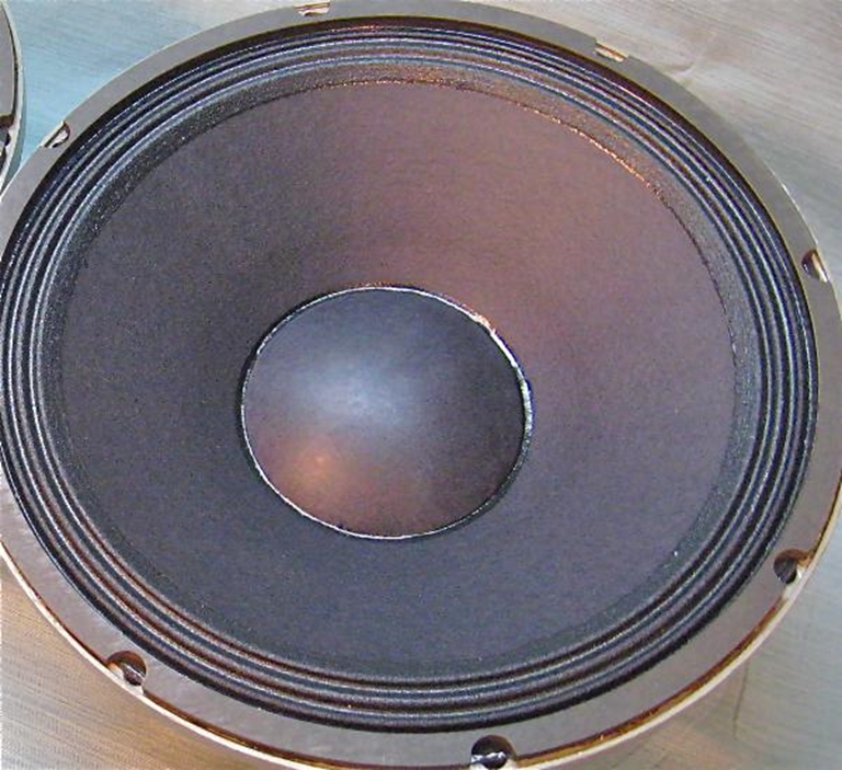 Image sur EVM12L 12 Inch Pro Line driver, Vintage!